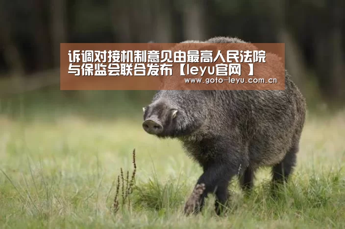 诉调对接机制意见由最高人民法院与保监会联合发布【leyu官网 】(图2) leyu官网
