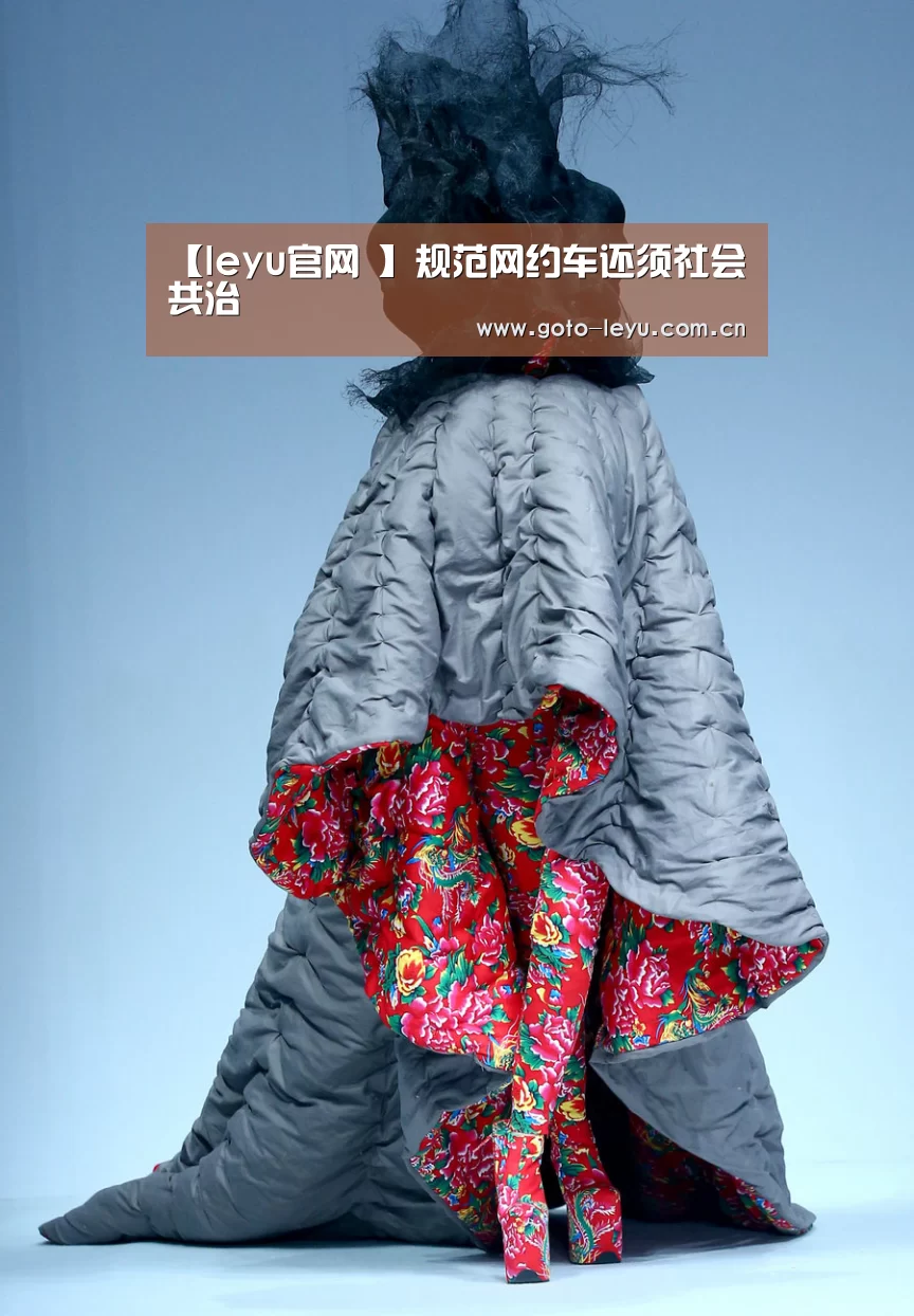 【leyu官网 】规范网约车还须社会共治(图2) leyu官网